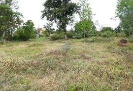 SV. LOVREČ, okolica- građevinsko zemljište s projektom, Sveti Lovreč, Земля