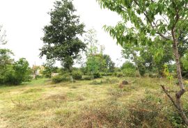 SV. LOVREČ, okolica- građevinsko zemljište s projektom, Sveti Lovreč, Land