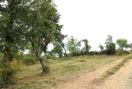 SV. LOVREČ, okolica- građevinsko zemljište s projektom, Sveti Lovreč, Terra