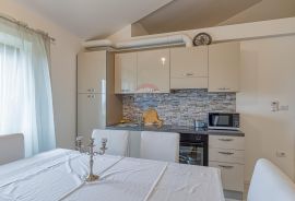 Apartmanska kuća u blizini Novigrada, Novigrad, Famiglia