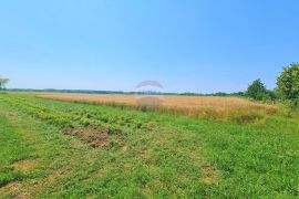 Brezovica, Grančari, građevinsko + poljoprivredno zemljište 8401 m2, Brezovica, Tierra