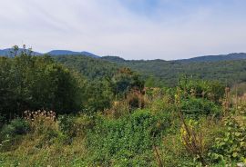 Okolica  Pasjaka ,starina,ruševina,s okućnicom, Matulji, Ev