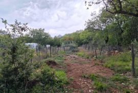 OTOK KRK,GARICA-poljoprivredno zemljište sa maslinama, Vrbnik, Terrain