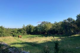 Škalnica - Građevinsko zemljište, 1624m2, Klana, Tierra