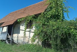 Bosiljevo,kuća za adaptaciju, Bosiljevo, House