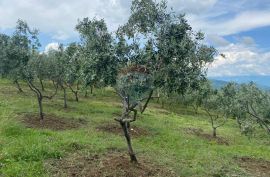 Istra, Pazin, negrađevinsko zemljište jezero Butoniga, Cerovlje, Land