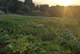 Istra - Kanfanar, Mrgani - 7 ha poljoprivrednog zemljišta u komadu, Kanfanar, Terreno