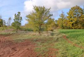 Istra, Žminj, Građevinsko zemljište na lijepoj lokaciji, površine 1171m2, Žminj, Terreno