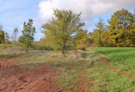 Istra, Žminj, Građevinsko zemljište na lijepoj lokaciji, površine 1200m2, Žminj, Arazi