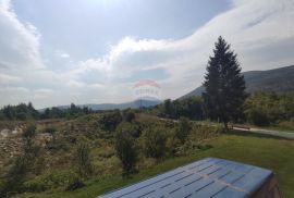 Rakovica,kuće sa dodatnim građevnim terenom i projektom, 17000 m2, Rakovica, Σπίτι