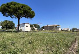 Poreč - okolica, građevinsko zemljište otvorenog pogleda, Kaštelir-Labinci, Land