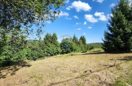 Vrbovsko, Vujnovići - građevinski teren sa započetom gradnjom 1166 m2, Vrbovsko, Zemljište