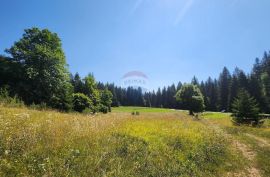 Sunger - negrađevinski teren među smrekama, Mrkopalj, Land