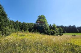 Sunger - negrađevinski teren među smrekama, Mrkopalj, Zemljište