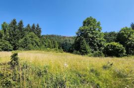 Sunger - negrađevinski teren među smrekama, Mrkopalj, Terrain