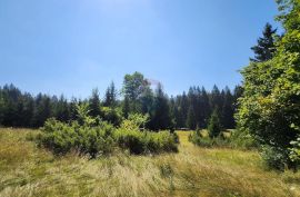 Sunger - negrađevinski teren među smrekama, Mrkopalj, Terrain