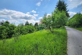 Vrbovsko, Vujnovići - građevinski teren sa projektom i dozvolom 1101 m2, Vrbovsko, Land