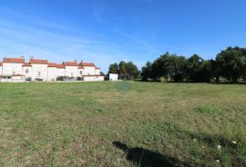 POREČ, okolica- zemljište pred urbanizacijom, Poreč, Terrain