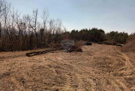 Istra, Buzet, poljoprivredno zemljište i šuma, Buzet, Land