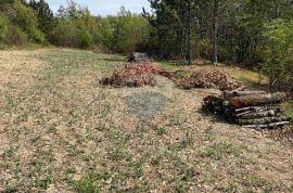 Istra, Buzet, poljoprivredno zemljište i šuma, Buzet, Land