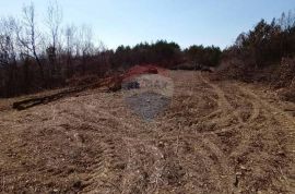 Istra, Buzet, poljoprivredno zemljište i šuma, Buzet, Terrain