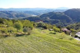 Motovun okolica, građevinski i poljoprivredni teren lijepog pogleda, Pazin - Okolica, Land