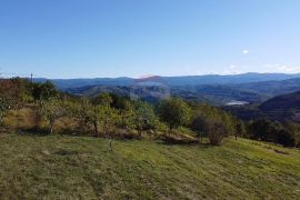 Motovun okolica, građevinsko zemljište s lijepim pogledom, Pazin - Okolica, Arazi