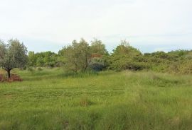 Umag - atraktivna parcela u Lovrečici 300 m od mora, Umag, Land