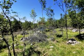 LIpa, poljoprivredno-šumsko zemljište površine 3298m2, Matulji, Land