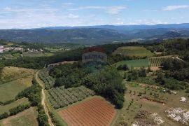 Istra, Višnjan- Poljoprivredno zemljište u okolici Višnjana, Višnjan, Tierra