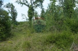 Poljoprivredno zemljište u blizini Baderne, Poreč, Land