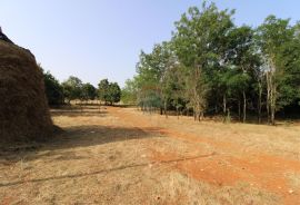 Građevinsko zemljište u blizini Baderne, Poreč, Land