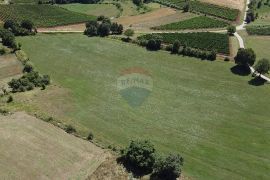 Istra, Vižinada, negrađevinsko zemljište 11 290 m2, Vižinada, Terreno