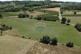 Istra, Vižinada, negrađevinsko zemljište 11 290 m2, Vižinada, Terreno