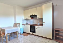 Istra,Umag,Apartmanska kuća, Umag, House