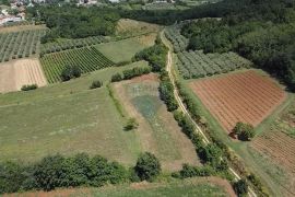 Istra, Vižinada, poljoprivredno zemljište 19 280 m2, Vižinada, Γη