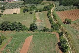 Istra, Vižinada, poljoprivredno zemljište 19 280 m2, Vižinada, Γη