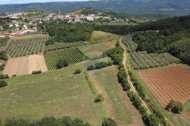 Istra, Vižinada, poljoprivredno zemljište 31 525 m2, Vižinada, Land