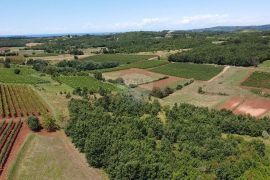 Istra, Vižinada, poljoprivredno zemljište 10286 m2, Vižinada, Tierra