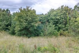 Istra, Žminj, Građevinsko zemljište na lijepoj lokaciji, površine 1953 m2, Žminj, Terrain