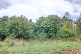 Istra, Žminj, Građevinsko zemljište na lijepoj lokaciji, površine 1953 m2, Žminj, Terrain