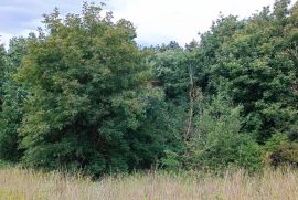 Istra, Žminj, Građevinsko zemljište na lijepoj lokaciji, površine 1953 m2, Žminj, Land