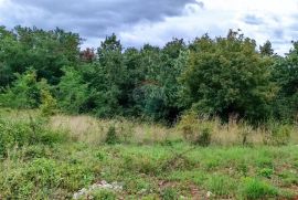 Istra, Žminj, Građevinsko zemljište na lijepoj lokaciji, površine 1953 m2, Žminj, Land