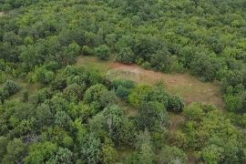 Istra, Poreč- Okolica Poreča poljoprivredno zemljište, Poreč, Terreno