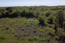 Istra, Poreč - Građevinsko zemljište u okolici grada Poreča, Višnjan, Terreno