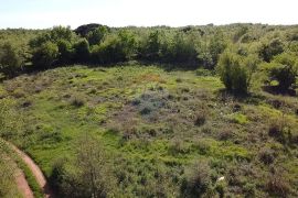 Istra, Poreč - Građevinsko zemljište u okolici grada Poreča, Višnjan, Terreno