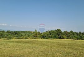 Vižinada: Građevinsko zemljište vrlo otvorenog pogleda, Vižinada, Land