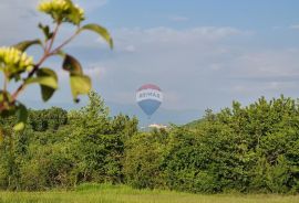 Vižinada: Građevinsko zemljište vrlo otvorenog pogleda, Vižinada, Zemljište