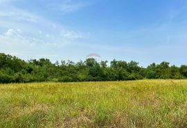 Poljoprivredna parcela Babići , 2 km do mora, Umag, Land