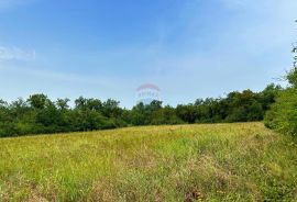 Poljoprivredna parcela Babići , 2 km do mora, Umag, Terra